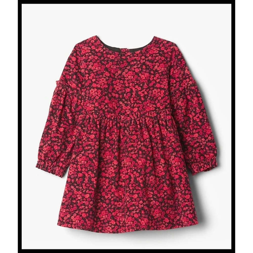 Baby GAP Red Corduroy Floral Print Dress Lined L/S Red Floral 5 Years Toddler